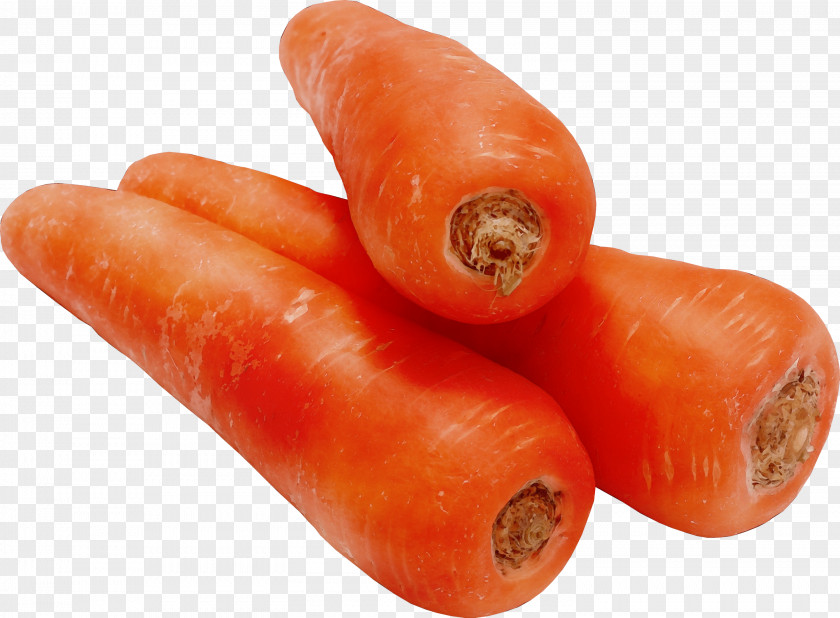 Carrot Food Vegetable Root Cuisine PNG