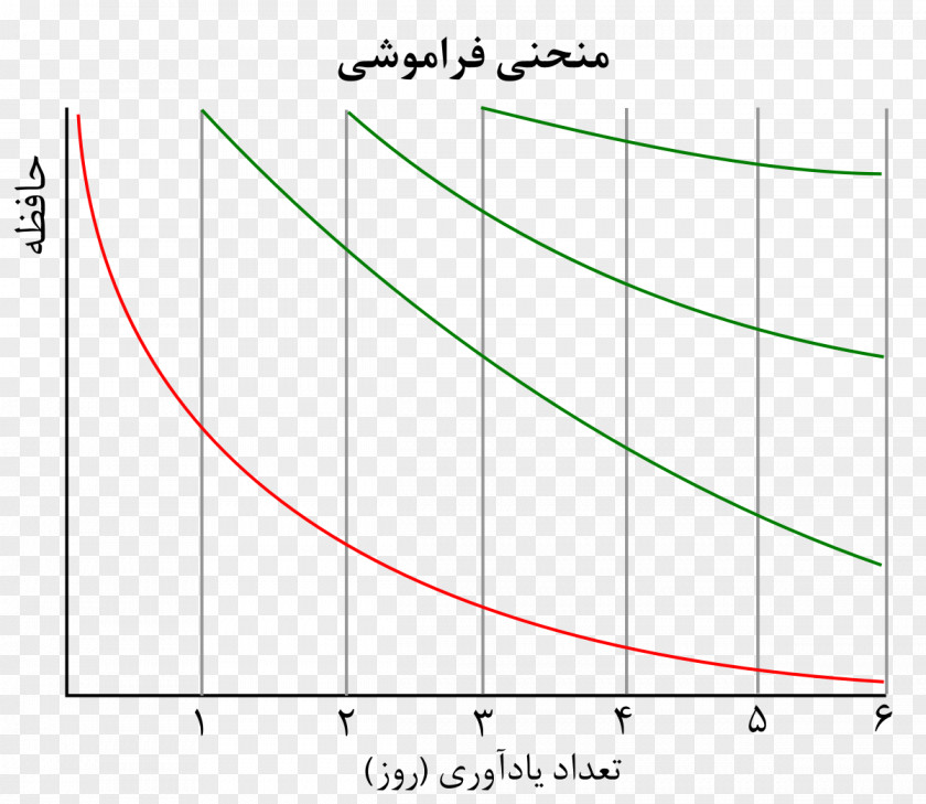 Curve Polygon Flyer Forgetting Learning Diagram PNG