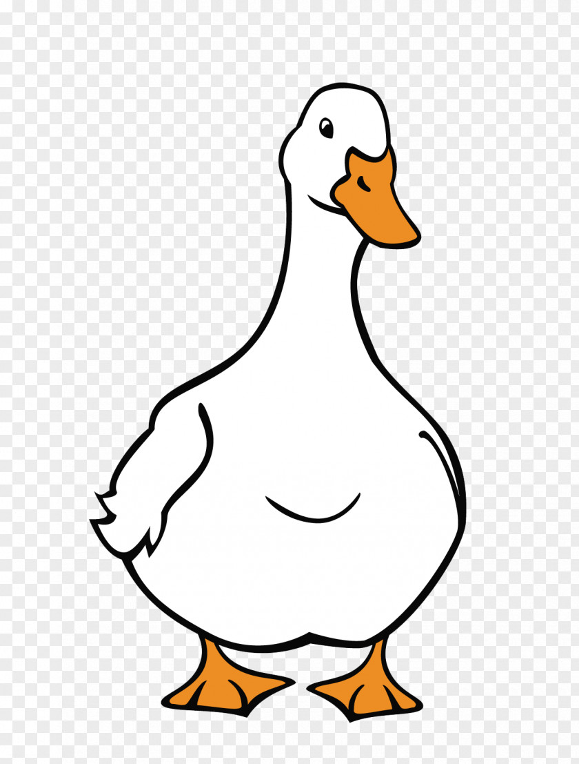 Duck Goose American Pekin Cygnini Domestic Animal PNG