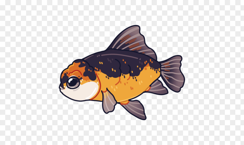 Fancy Fish Oranda Ryukin Ranchu Shubunkin PNG