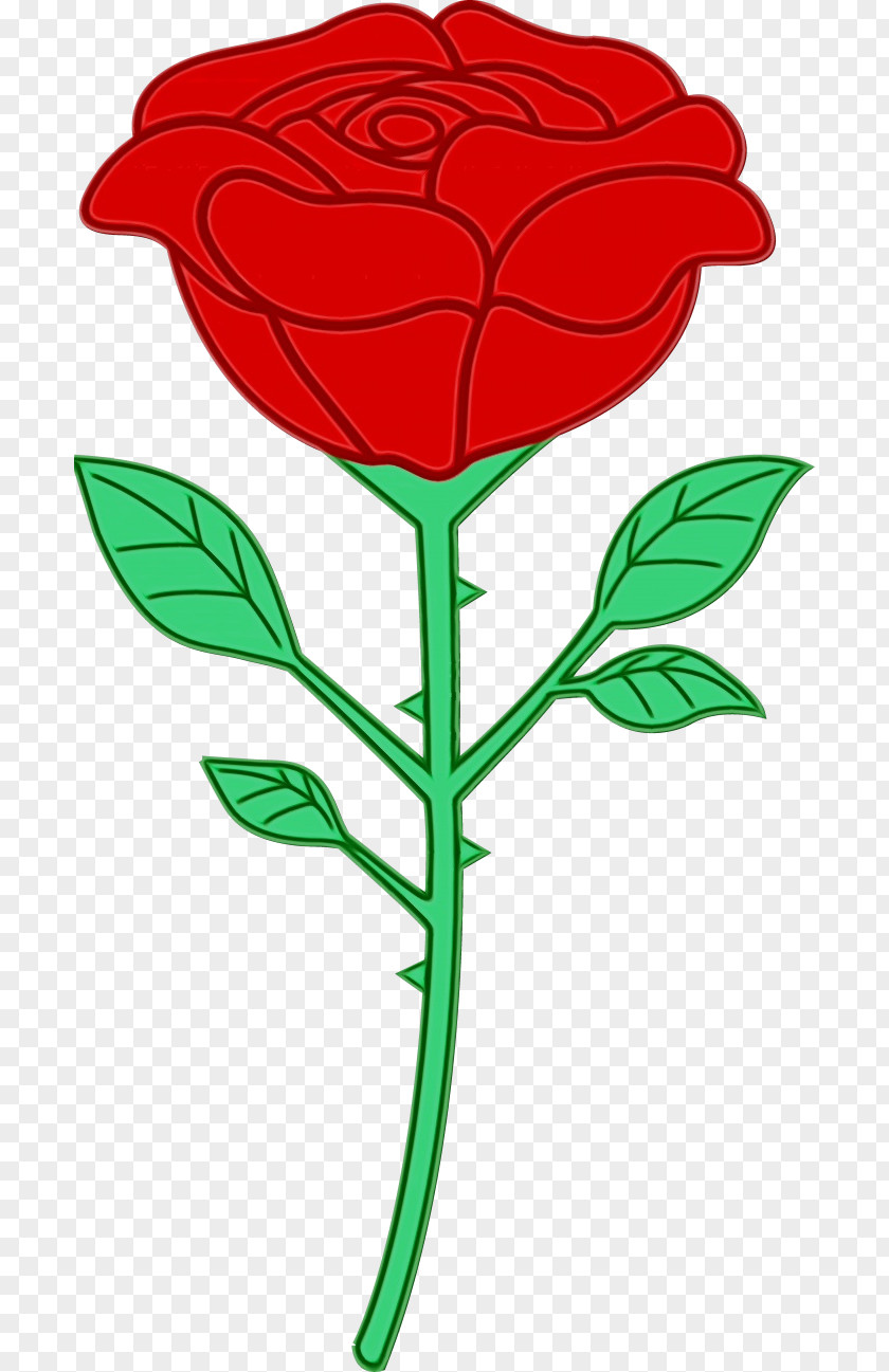 Flowering Plant Rose PNG