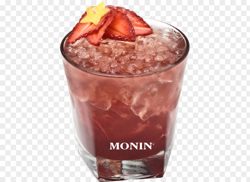 GEORGES MONIN SAS Liqueur Sea Breeze Syrup Falernum PNG