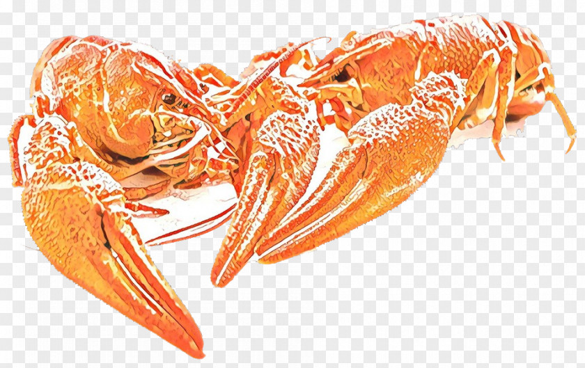 Litopenaeus Setiferus Shrimp Botan Dendrobranchiata Lobster PNG
