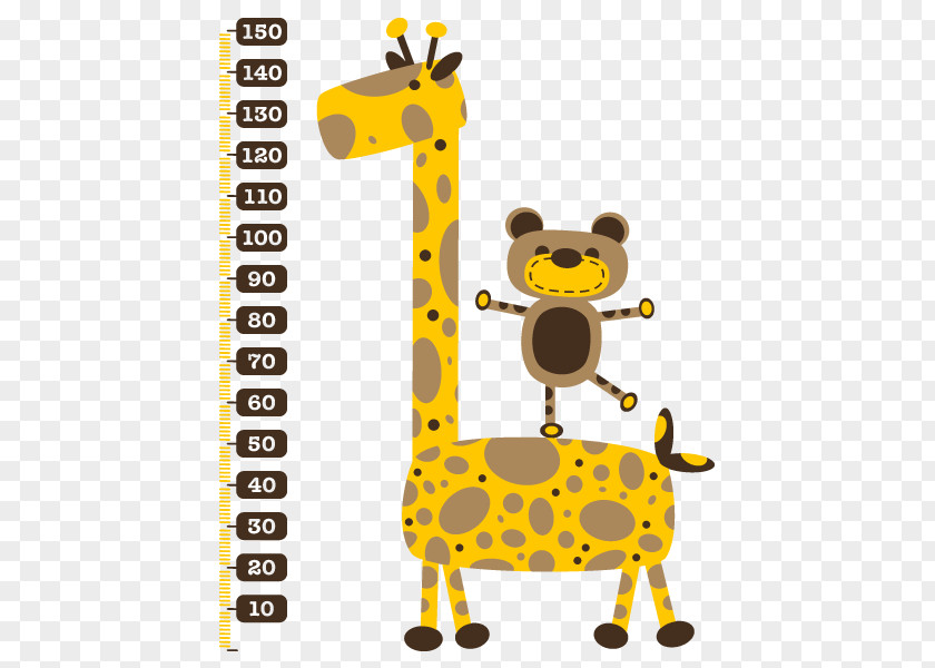 Measuring Height Human Child Northern Giraffe Gauge PNG