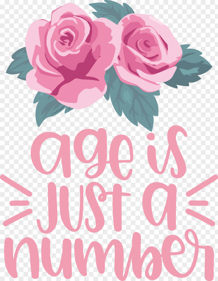 Birthday Age Is Just A Number PNG