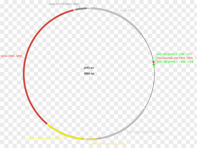 Circle Brand Angle Diagram PNG