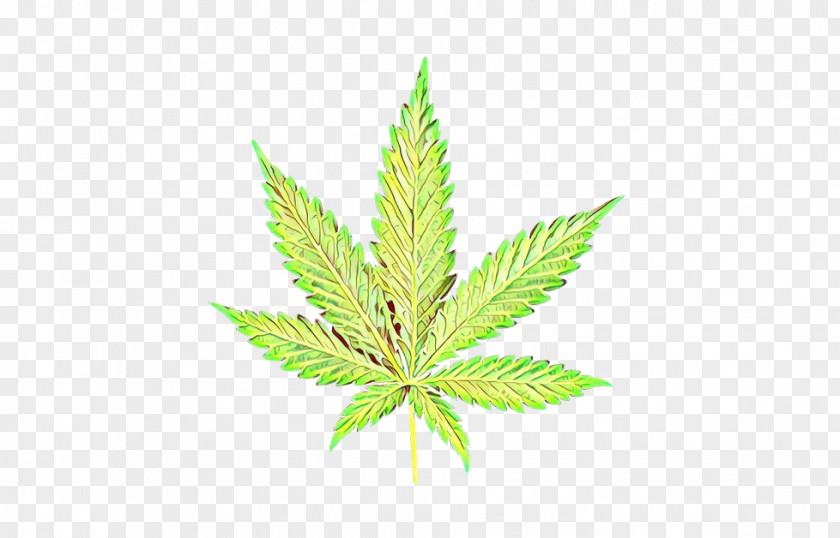 Flower Weed PNG