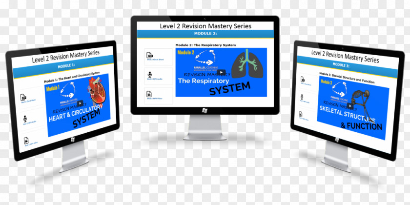 Freedom Pass Anatomy Physiology Computer Monitors Information Study Skills PNG