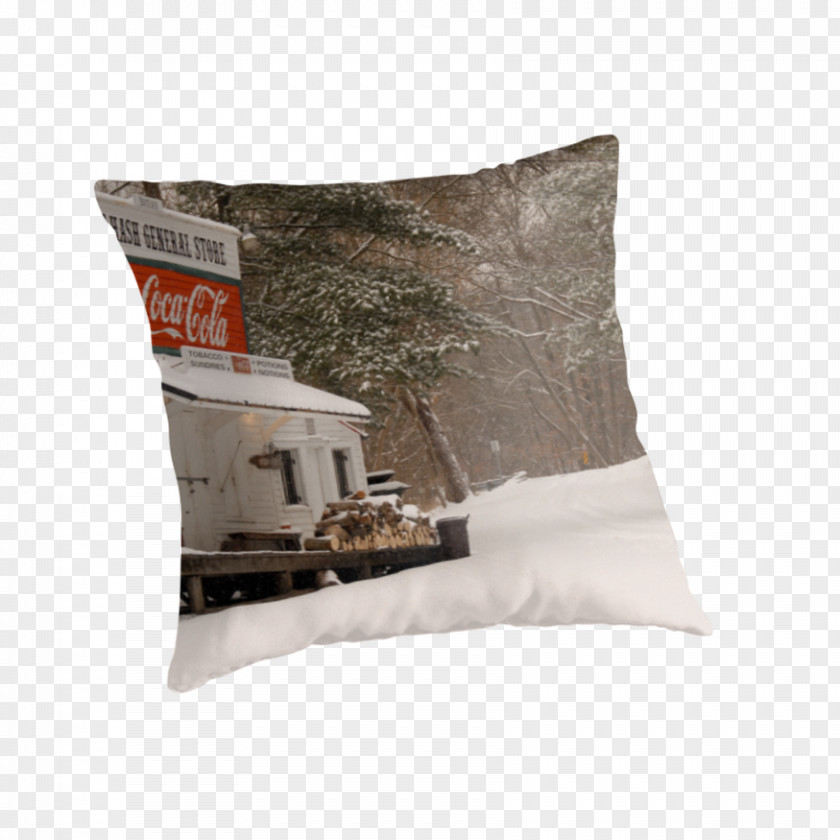 General Store Throw Pillows Cushion PNG