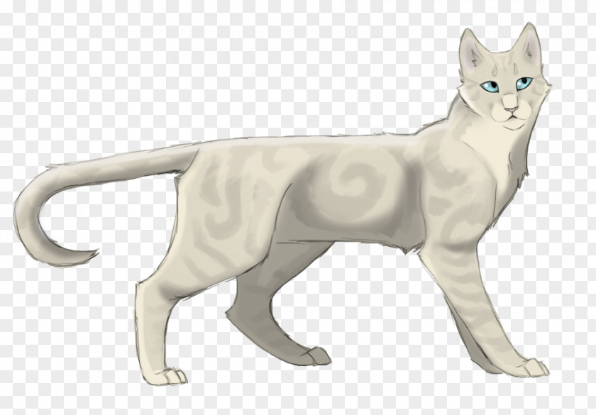 Kate Hudson Cat Warriors Clan DeviantArt Silverstream PNG