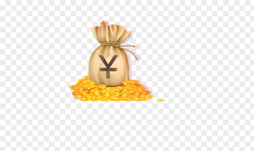 Money Bags Bag Coin Gold PNG