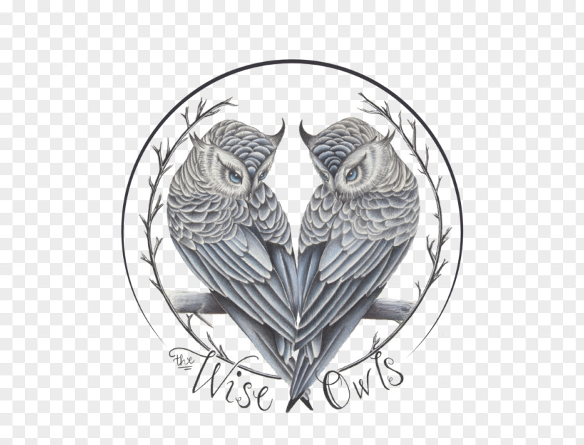 Owl Drawing Colored Pencil Art PNG
