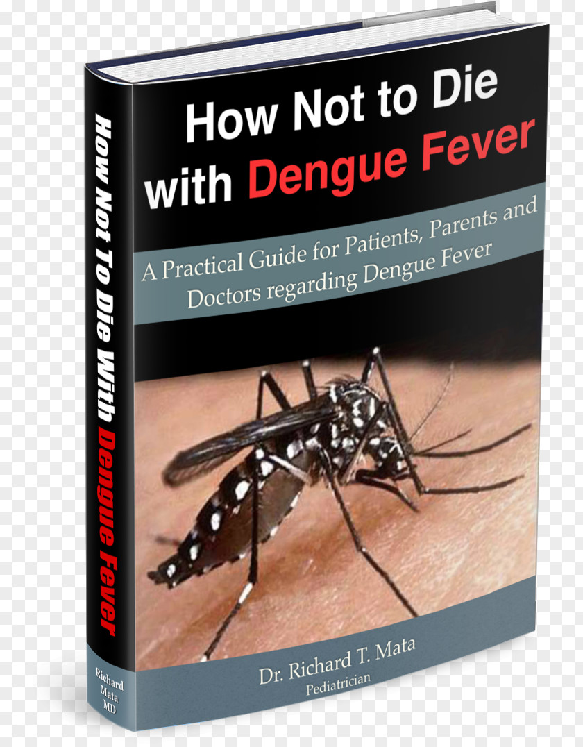 Dengue Fever Aedes Albopictus Yellow Mosquito Advertising PNG