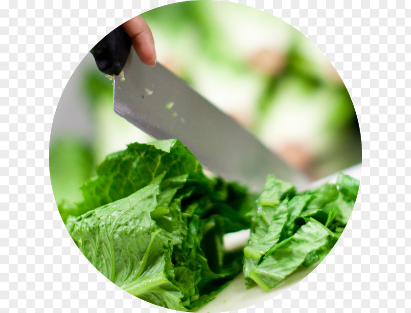 Lettuce Vegetarian Cuisine Salsa Leaf Vegetable Spring Greens Collard PNG