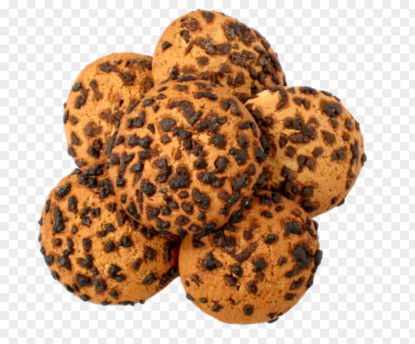 Biscuit Cookie Confectionery Zwieback PNG