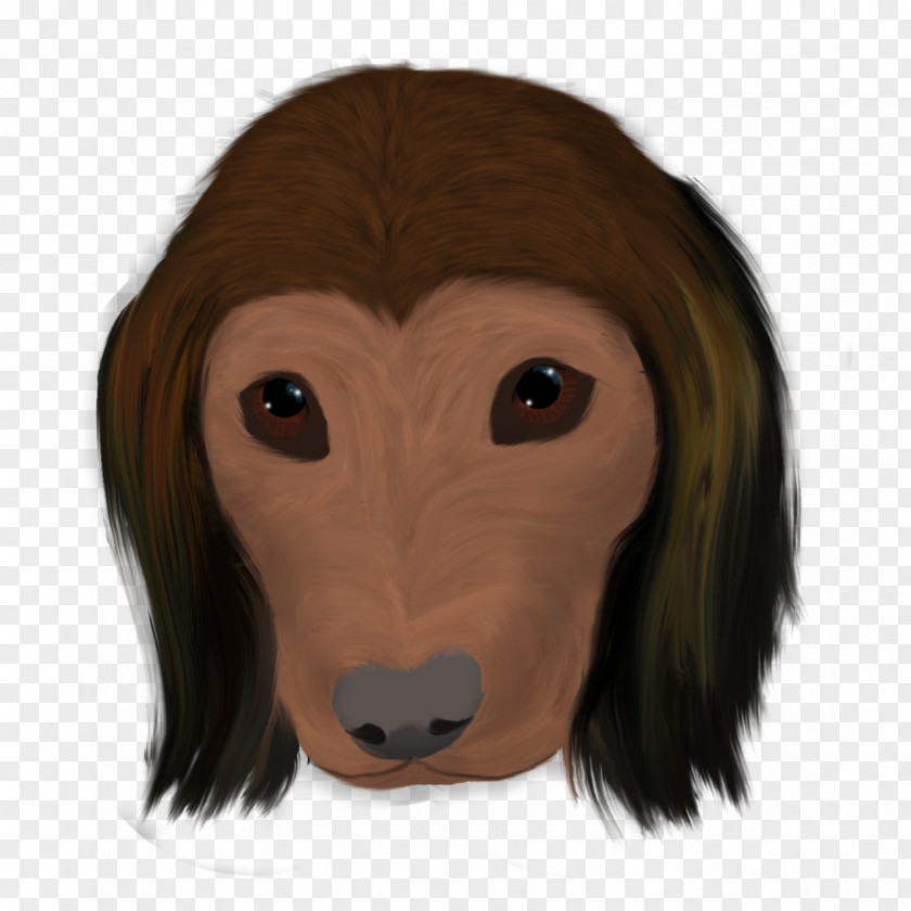 Dog Breed Snout Headgear PNG