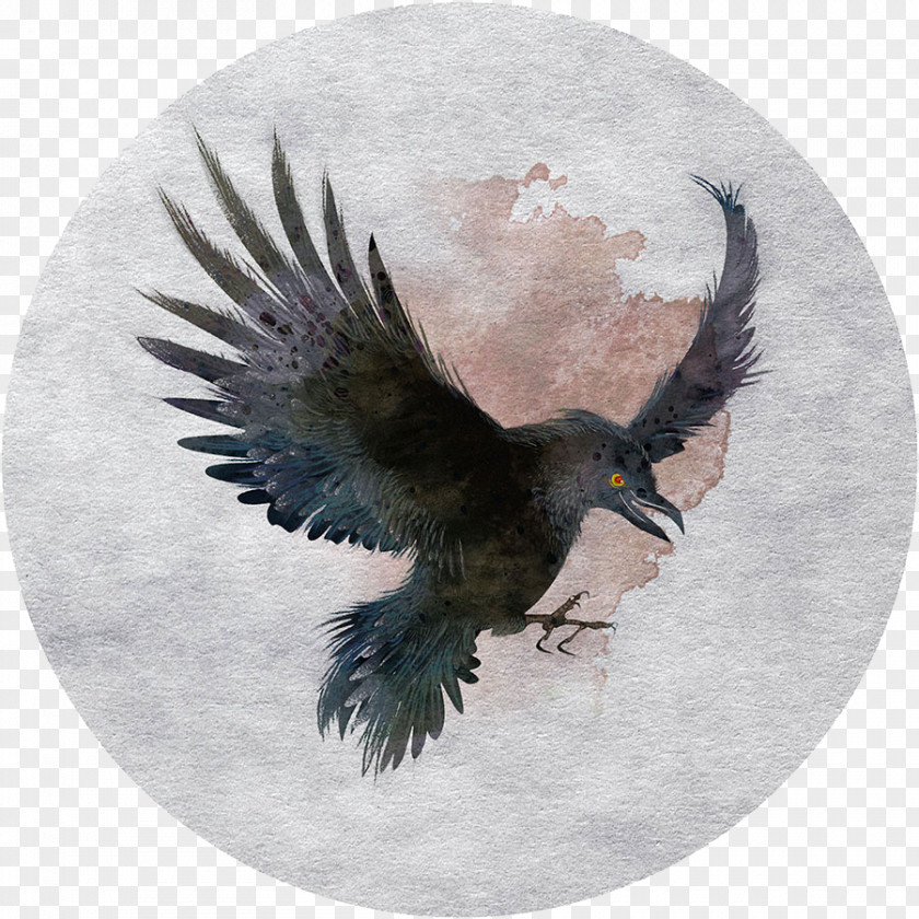Eagle Material Tamaulipas Crow Bird Hawk PNG
