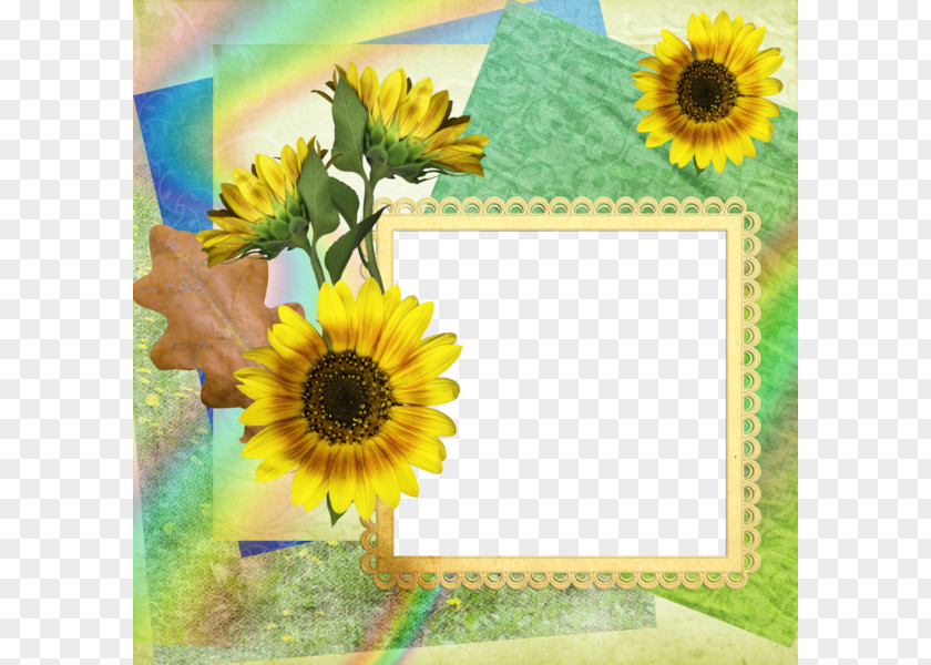 Sunflower Frame Background Picture Flower PNG