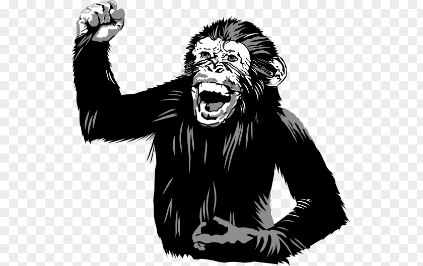 Thai Basil Common Chimpanzee Western Gorilla Homo Sapiens Three Wise Monkeys Food PNG