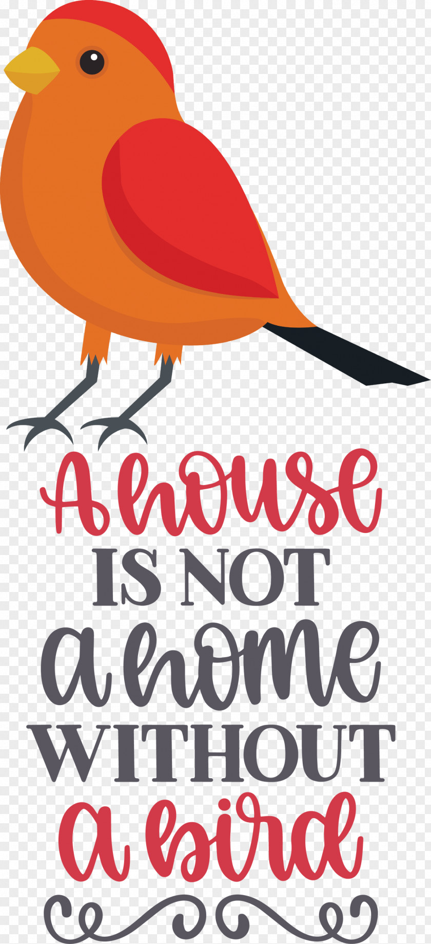 Bird Quote Home PNG