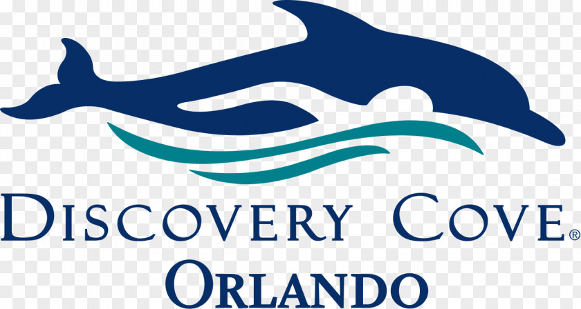 Discovery Cove SeaWorld Orlando Busch Gardens Tampa Aquatica PNG