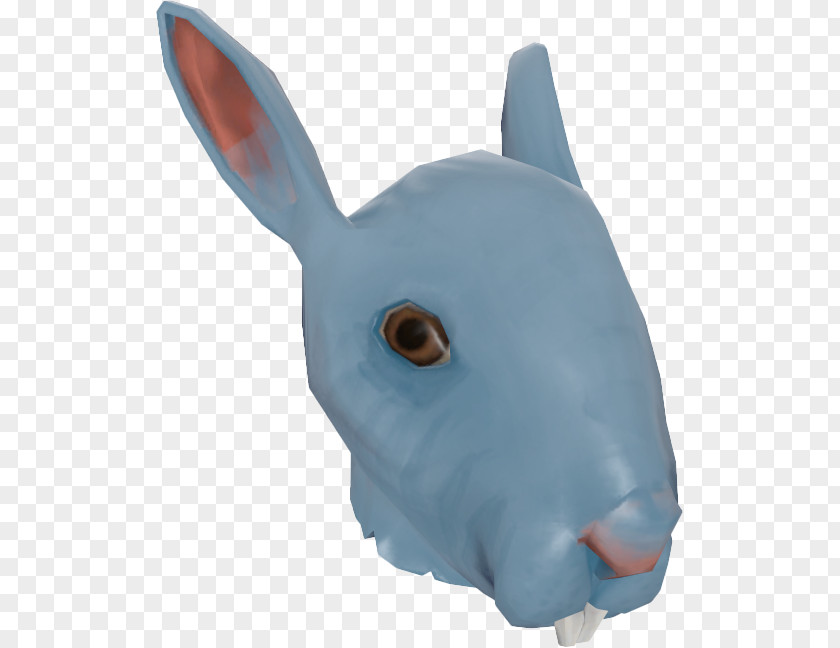 Domestic Rabbit Marine Mammal Headgear Snout PNG