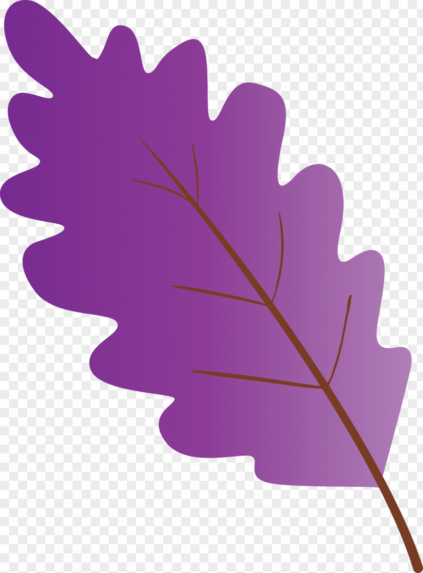 Leaf Purple Violet Plant Tree PNG