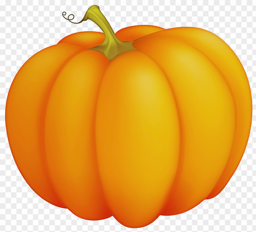 Local Food Pumpkin Orange PNG