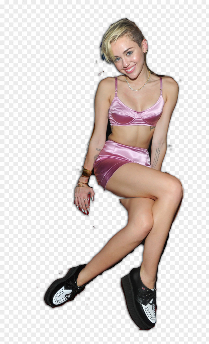 Miley Cyrus Wrecking Ball Photography PNG