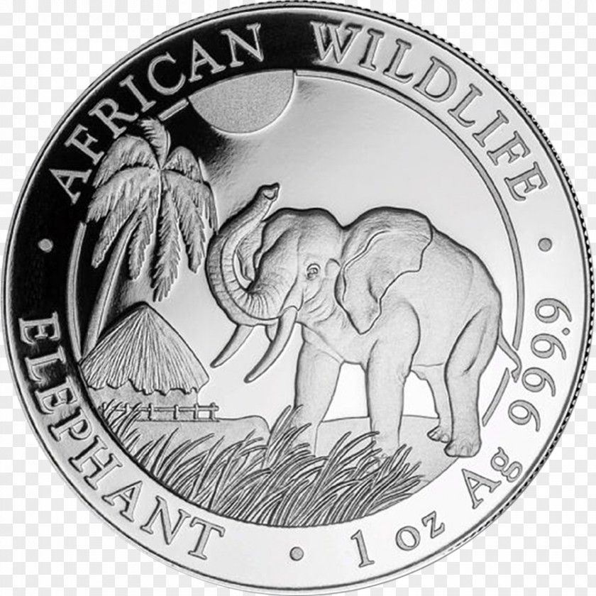 Nigerian Currency Elephant Silver Coin Indian Somalia PNG