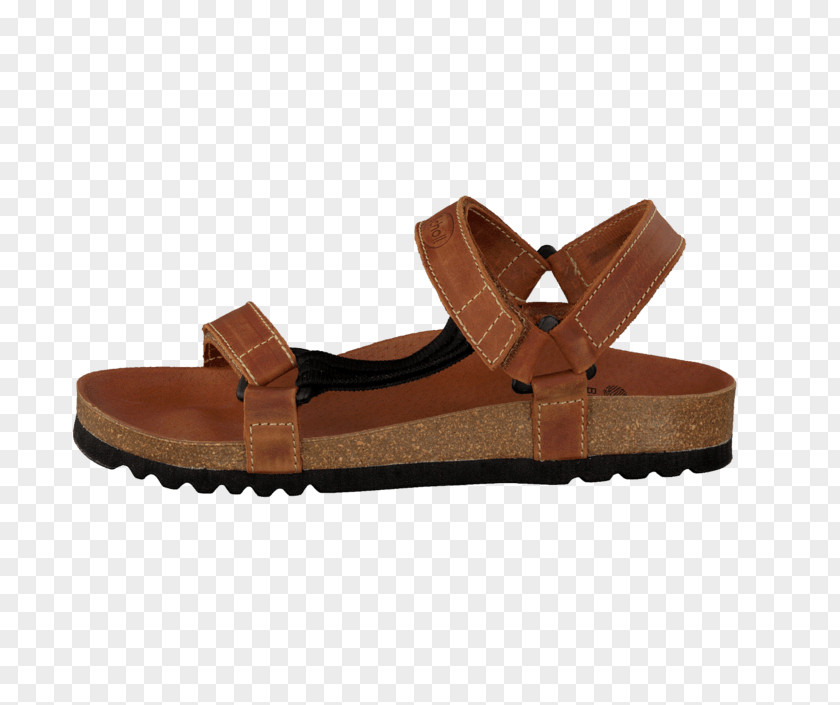 Sandal Shoe Dr. Scholl's Flip-flops Martens PNG
