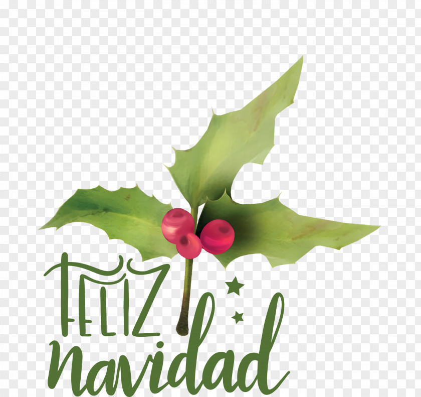 Feliz Navidad Merry Christmas PNG