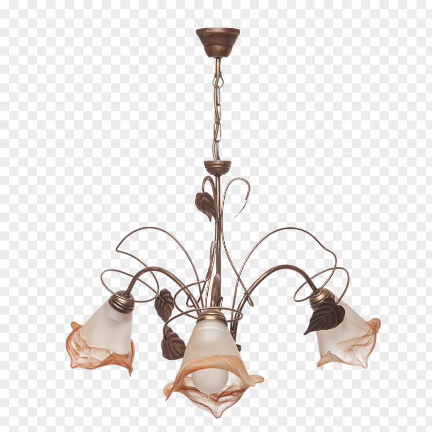 Lamp Light Fixture Chandelier Shades Living Room PNG