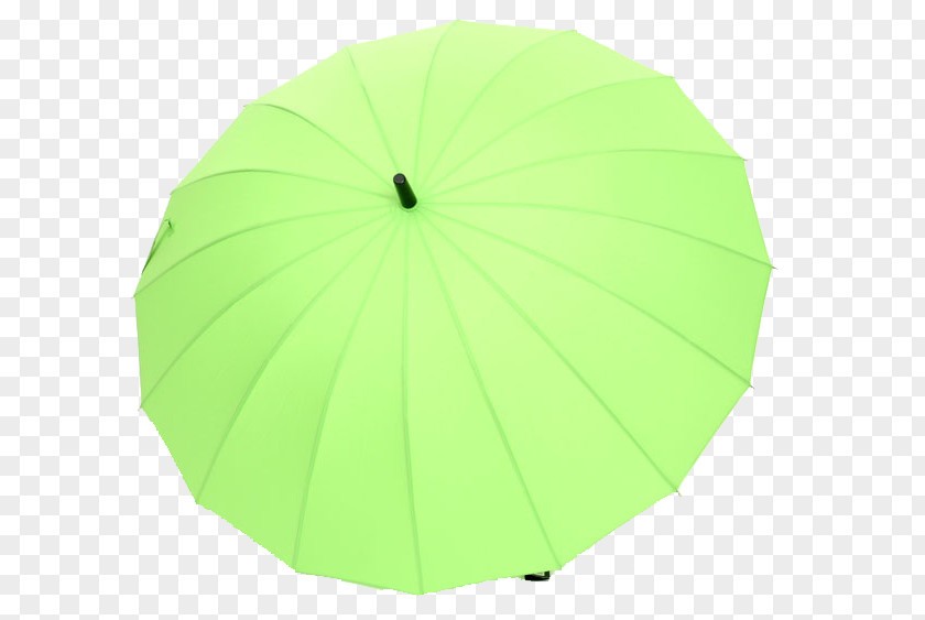 Large Grass Green Umbrella Angle PNG