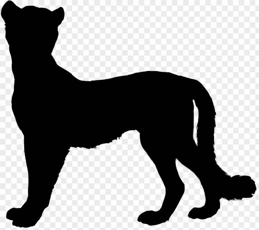 Whiskers Cat Dog Breed Snout PNG