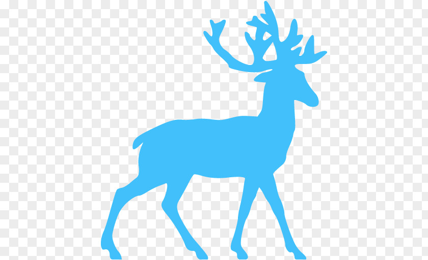 Deer White-tailed Reindeer Antler Clip Art PNG