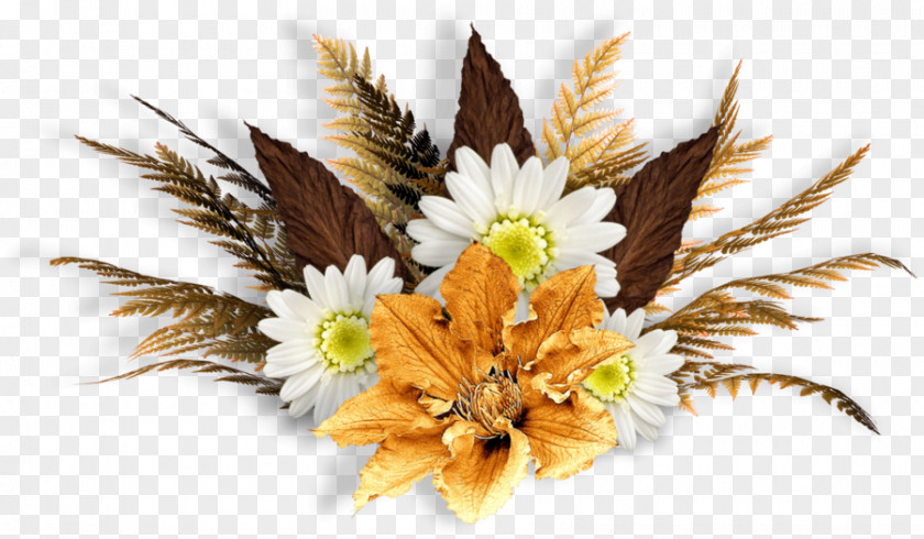 Flower Floral Design GIF Image PNG
