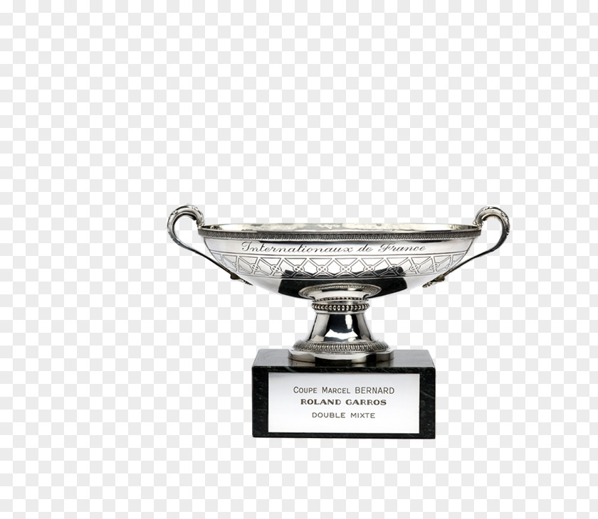 Silver Trophy PNG