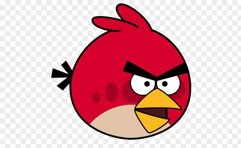 Bird Angry Birds Space Drawing Painting PNG