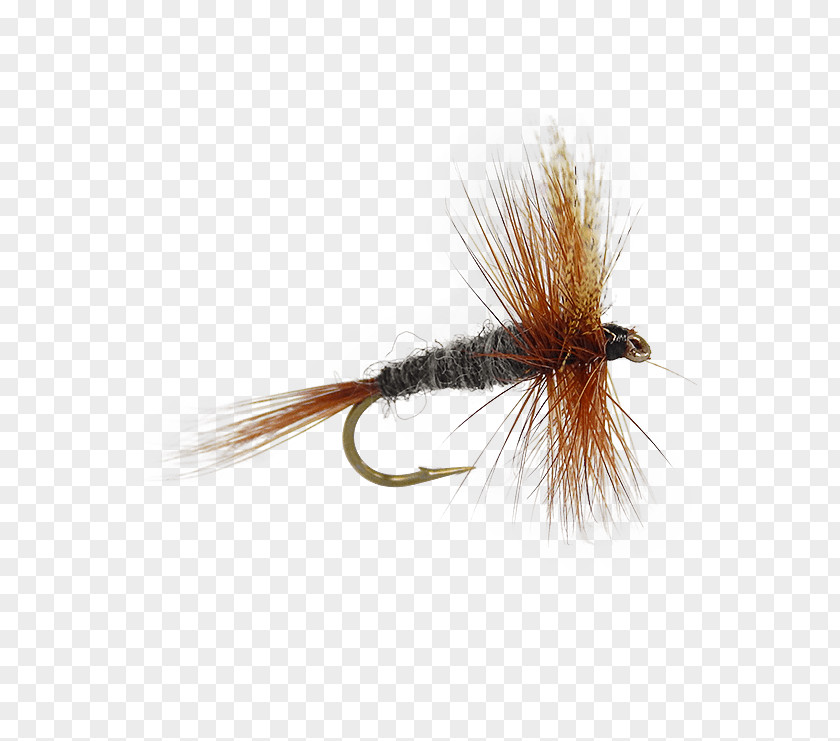 Fly Tying Fishing Baits & Lures Angling Adams PNG
