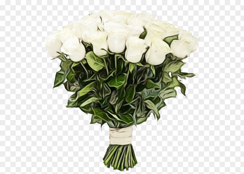 Garden Roses PNG