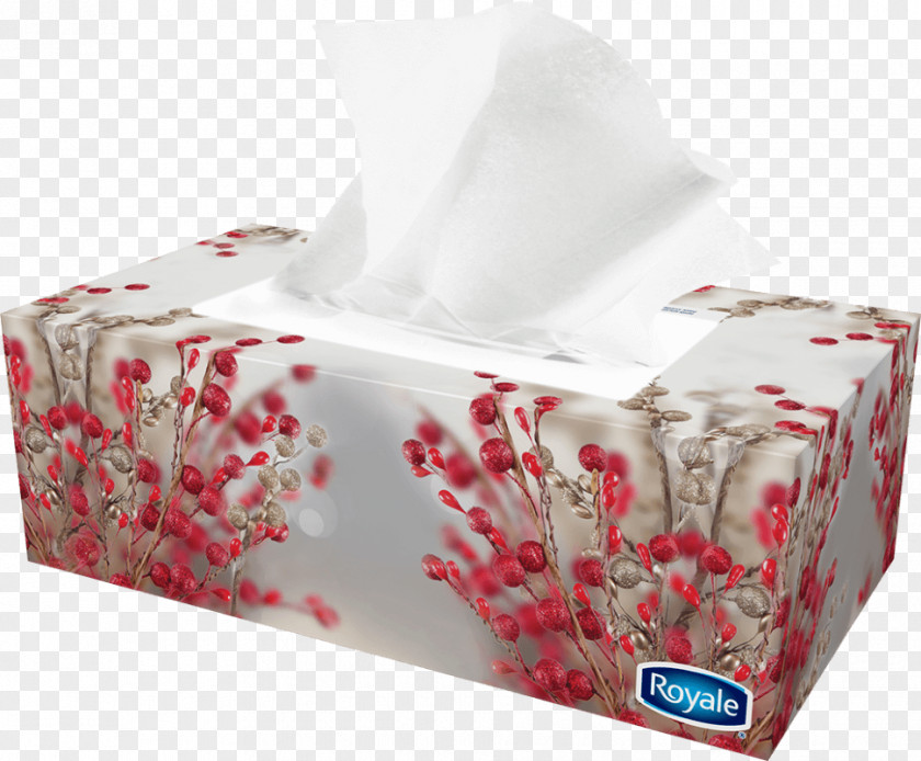 Paper Tearing Title Box Facial Tissues Toilet Royale Handkerchief PNG