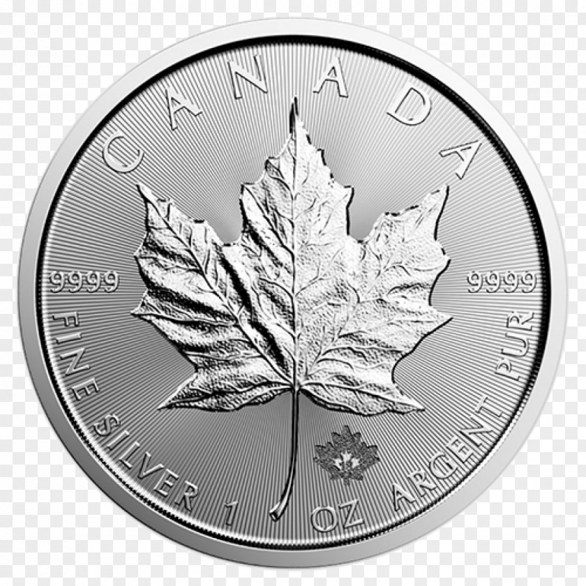 Silver Canadian Maple Leaf Gold Bullion Coin PNG