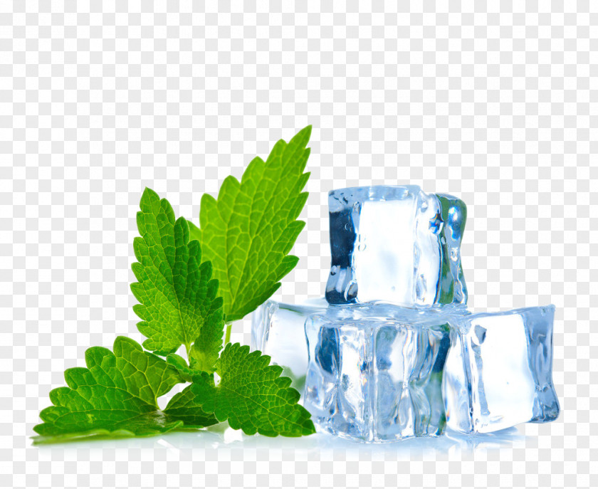 Ice,mint Ice Electronic Cigarette Aerosol And Liquid Mentha Spicata Flavor Menthol PNG