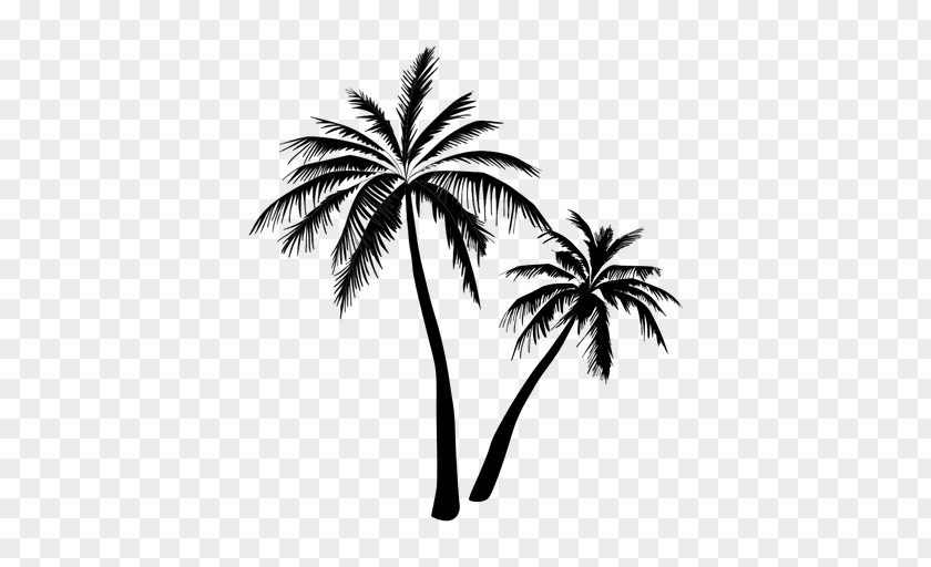 Tropical Forest Arecaceae Tree Clip Art PNG