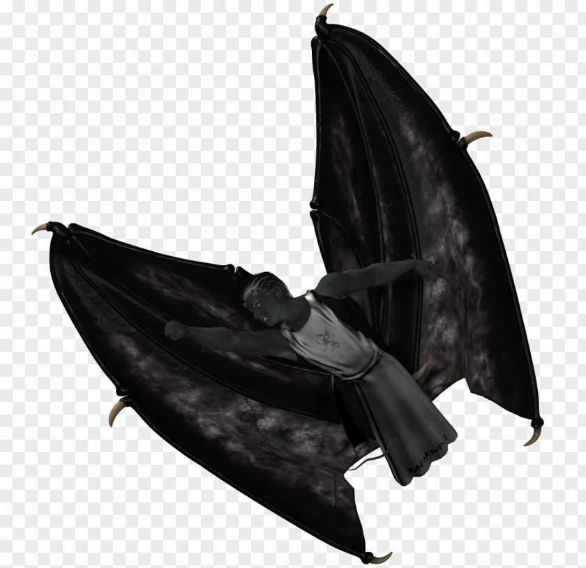 Black Wings Author White Grey Hair Skin PNG