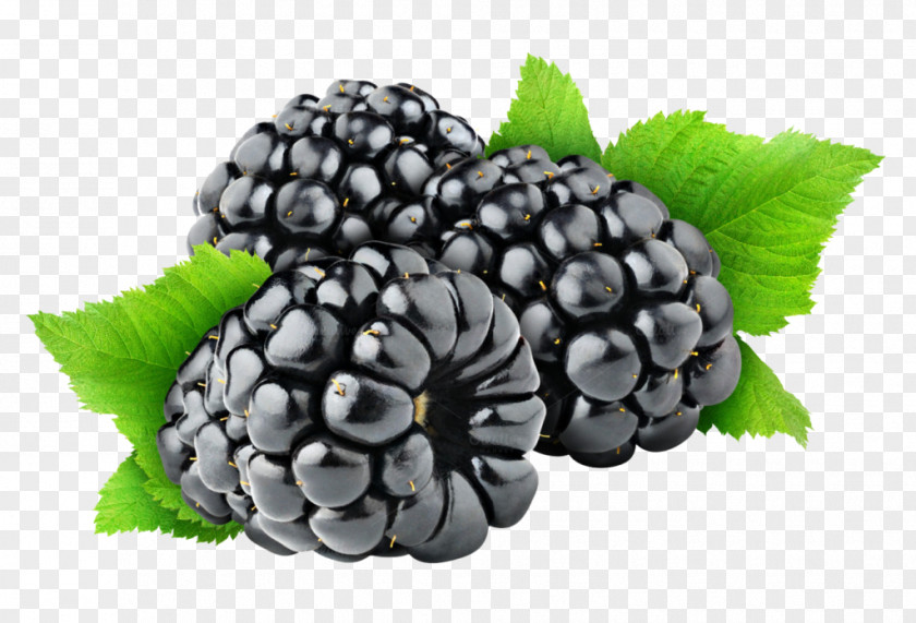 Blackberry Fruit Frozen Food PNG