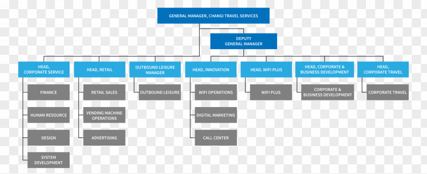Business Organizational Chart Hierarchical Organization Diagram PNG