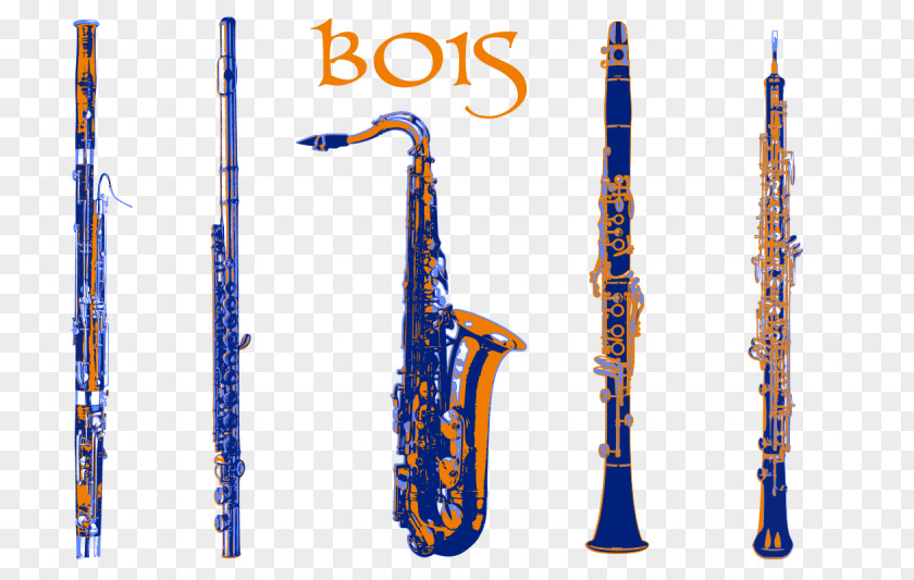Musical Instruments Clarinet Woodwind Instrument Piccolo PNG