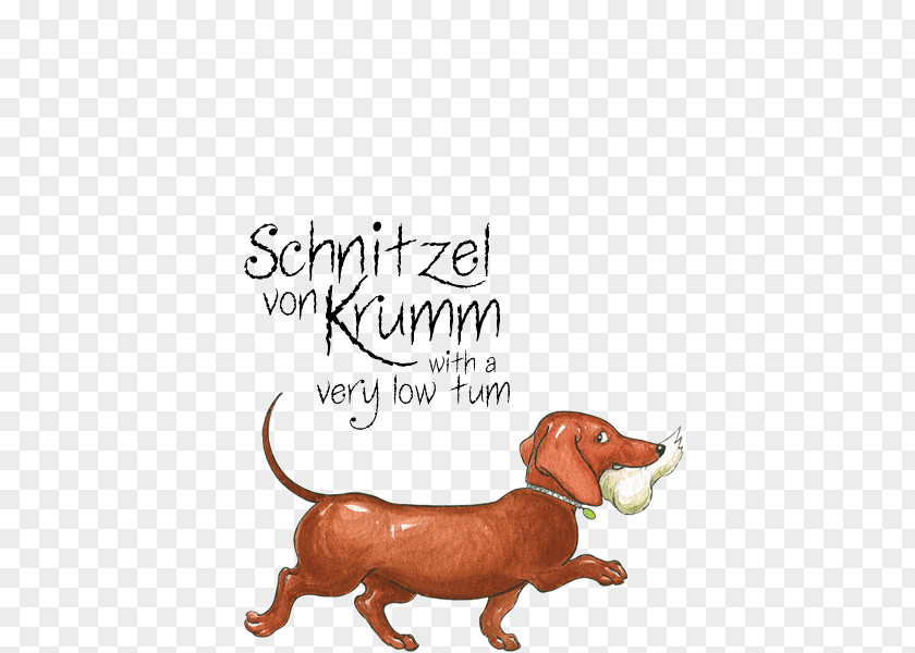 Slinky Dachshund Dog Breed Hairy Maclary From Donaldson's Dairy Schnitzel Von Krumm, Dogs Never Climb Trees PNG